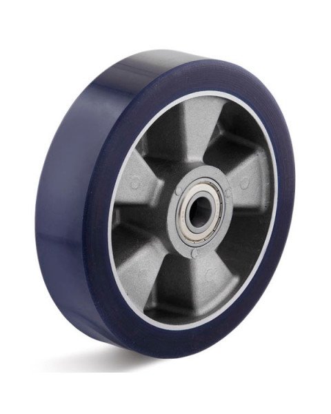 Колесо TORWEGGE T-160x50x25-ZEUR